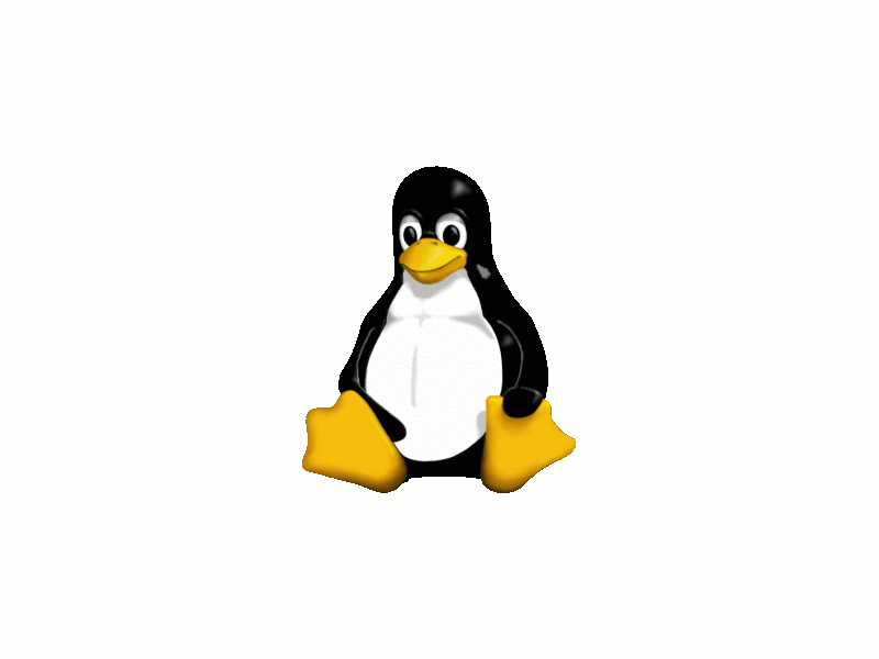 Linux Consulting, Support and Administration services